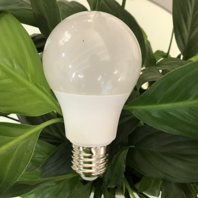 Bóng đèn LED bulb tròn LEDGOES 12W