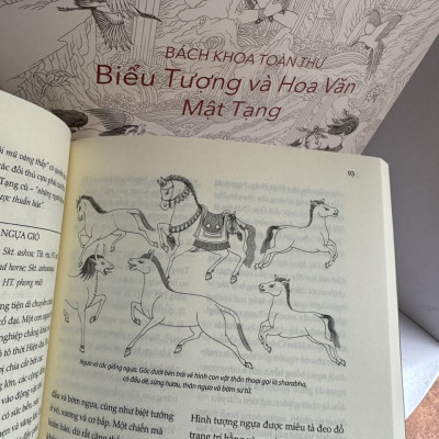 (Combo 2 cuốn) SỔ TAY BIỂU TƯỢNG PHẬT GIÁO TÂY TẠNG – BÁCH KHOA TOÀN THƯ BIỂU TƯỢNG VÀ HOA VĂN MẬT TẠNG - Robert Beer