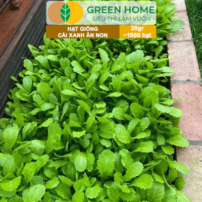 Hạt Giống Rau Cải Ăn Non Greenhome, Gói 20g~1000 hạt, Dễ Trồng Quanh Năm, Nảy Mầm Cao, Thu Hoạch Nhanh, Năng Suất Cao R05