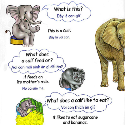 Mẹ Hỏi Bé Trả Lời - Song Ngữ Anh-Việt - Baby Animals - Những Con Vật Bé Bỏng (Dành Cho Trẻ Từ 2-7 Tuổi)
