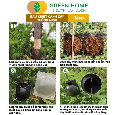 Bầu Chiết Cành GreenHome, R4cm(1 Thùng 200 CÁI), Tăng Khả Năng Ra Rễ, Phù Hợp Với Hoa Hồng, Bonsai