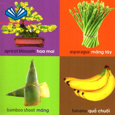 Sách: 101 Từ Đầu Tiên - Thực Vật (TB)