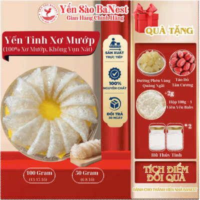 Bộ Quà Tặng 100g Tổ Yến Sào Cao Cấp dành BIẾU TẶNG Người Thân Đối Tác - Yến Sào BaNest