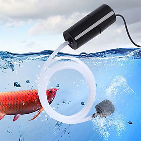 (Hàng Tốt) Bộ Máy Sục Sủi Khí Oxy Mini Cho Bể Cá Cảnh Thủy Sinh – Siêu Êm, Hàng Cao Cấp, Bơm Khí Oxy Hồ Cá