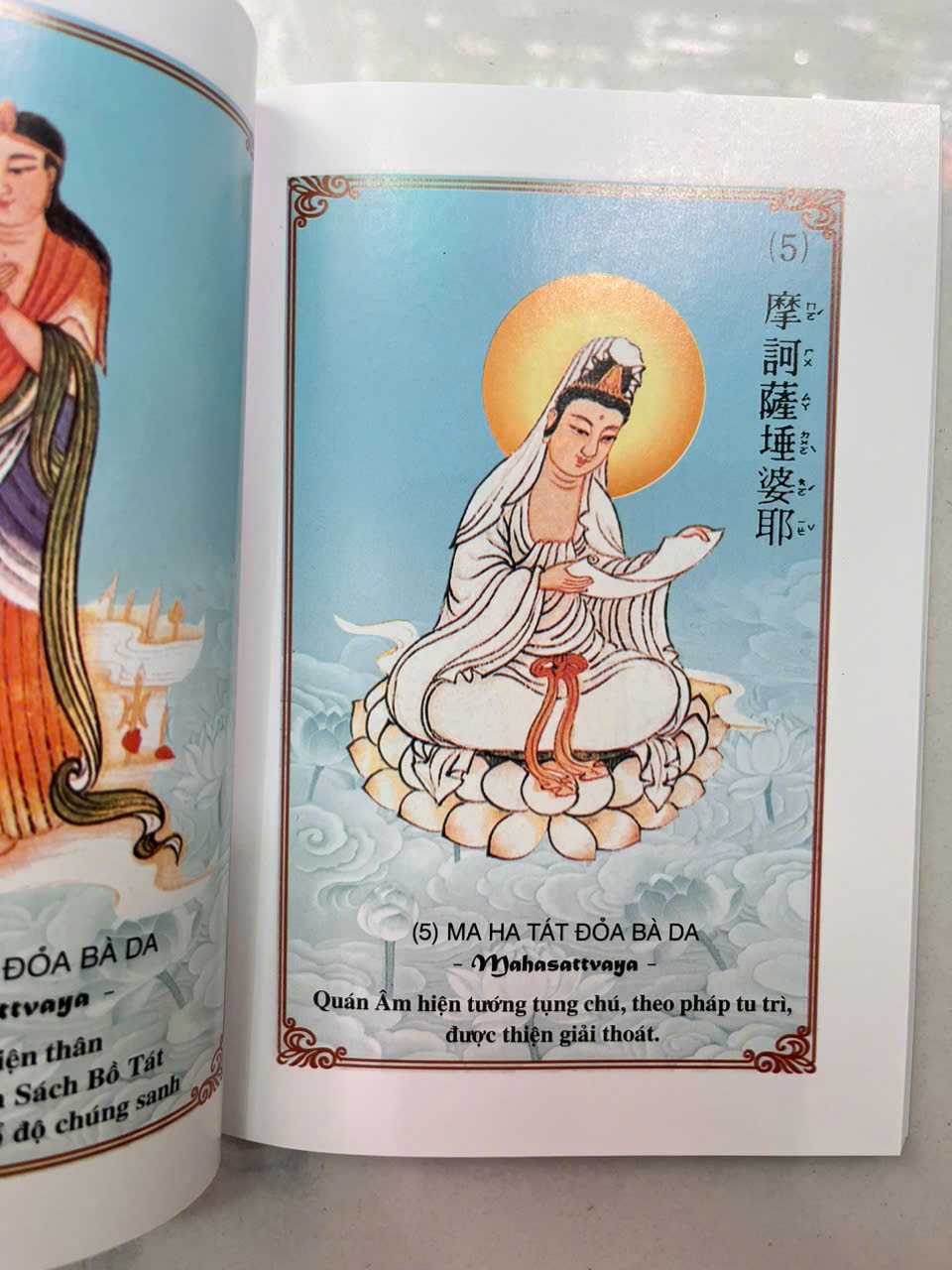 Sách - Kinh Đại Bi Tâm Đà Ra Ni (tranh màu )