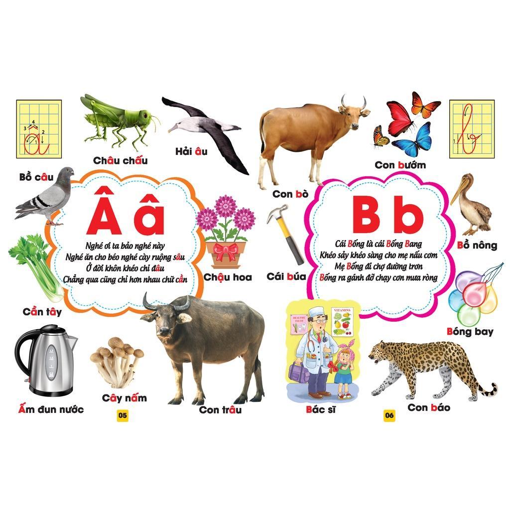 Sách - Từ Điển Bằng Tranh - Bảng Chữ Cái Tiếng Việt - Bìa Cứng - Minh Thắng