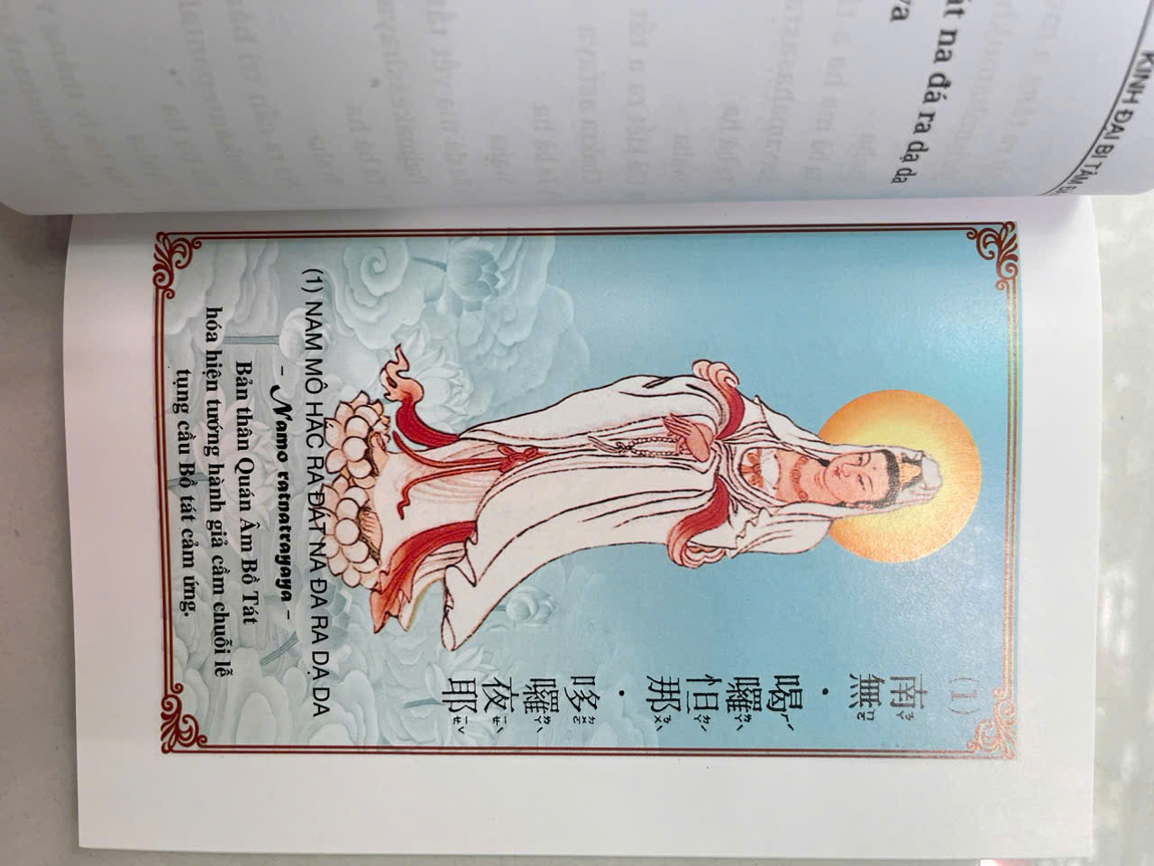 Sách - Kinh Đại Bi Tâm Đà Ra Ni (tranh màu )