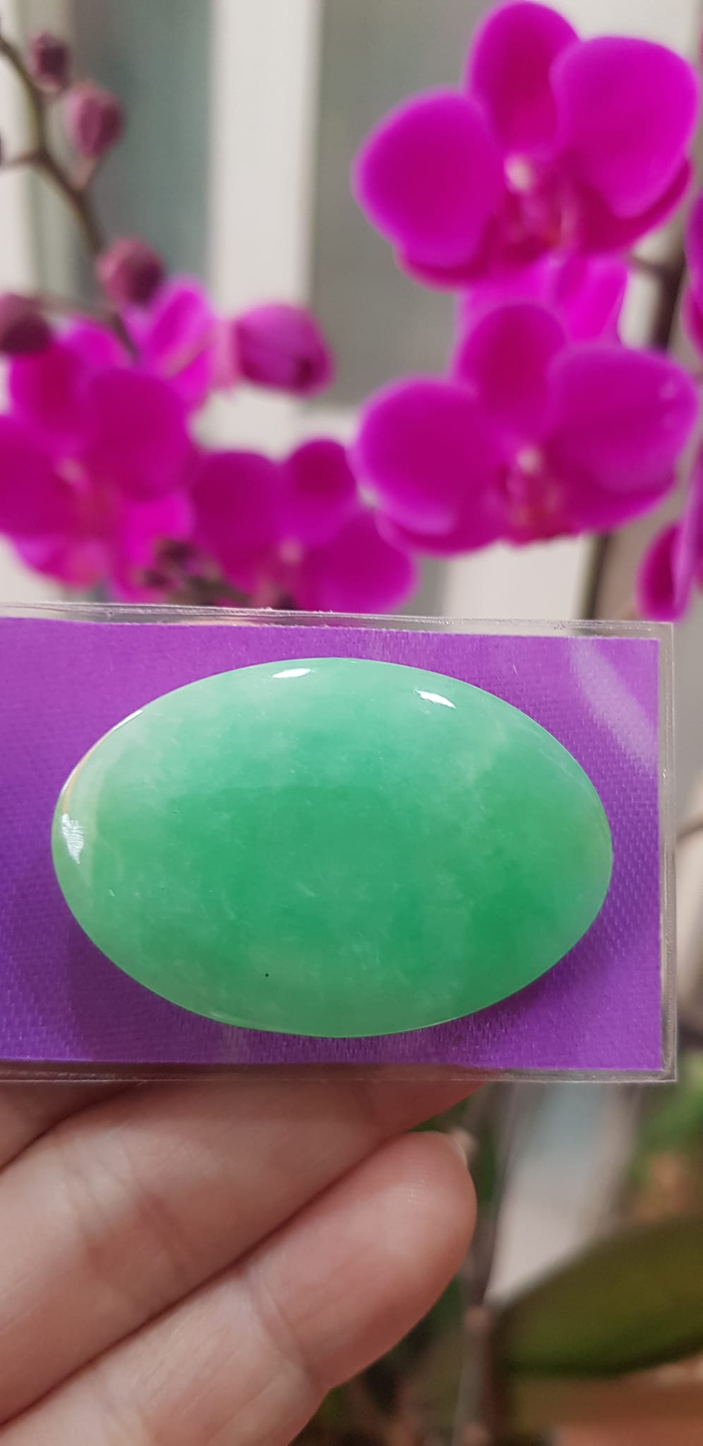 Mặt Lắc Tay Oval to đá ngọc cẩm thạch xanh tự nhiên Size đại Dài 42mm x ngang 28mm x dầy 4mm Nữ lên lắc tay vàng 1 mặt Oval to đẹp sang lắm món quà tặng Mẹ, tặng vợ người thân yêu ý nghĩa ạ