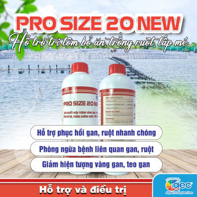 Pro Size 20 New – Giải pháp hoàn hảo cho tôm cá bỏ ăn, trống đường ruột, tôm cá tấp mé