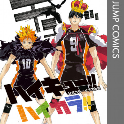 ハイキュー!!公式カラーイラスト集ハイカ JEISHI HAIKYUU ! ! KOUSHIKI KARA IRASUTO