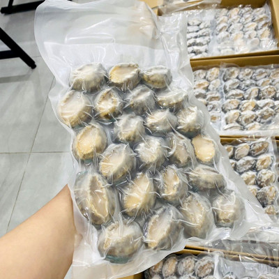 Bào ngư Chile ( size : 10-12 con)- 1kg