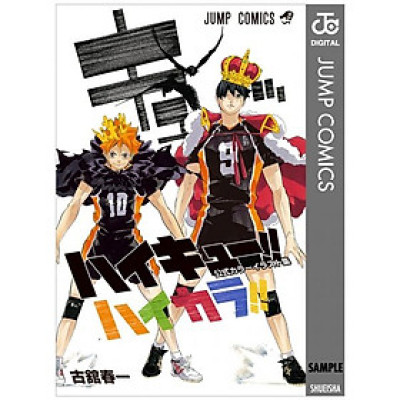 ハイキュー!!公式カラーイラスト集ハイカ JEISHI HAIKYUU ! ! KOUSHIKI KARA IRASUTO