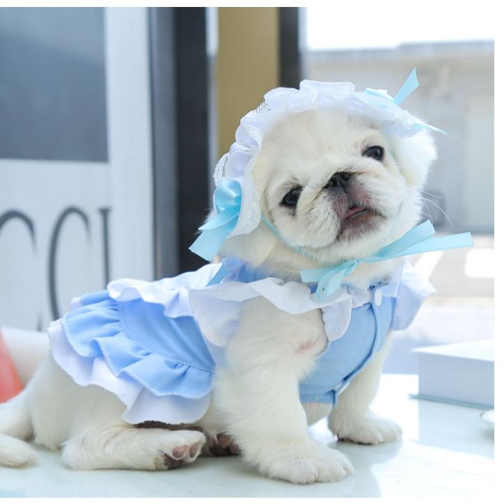 Váy hầu gái cho Chó Mèo , Váy tạp dề cho thú cưng , Quần Áo Thú Cưng