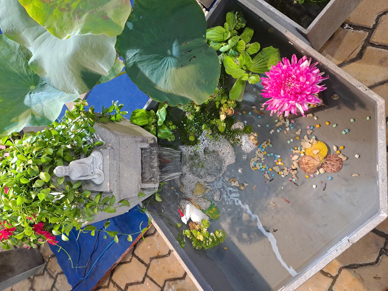 Hồ cá ban công, hồ cá thủy sinh, hồ cá tiểu cảnh, hồ cá sân vườn , bể cá ban công, hồ cá phong thủy, Hồ cá tiểu cảnh sân vườn, Hồ cá thủy sinh đá tự nhiên, hồ cá mini
