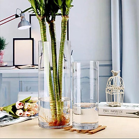 Lọ hoa thuỷ tinh hình trụ tròn Heodecor LH053, bình hoa thủy tinh trong suốt đơn giản