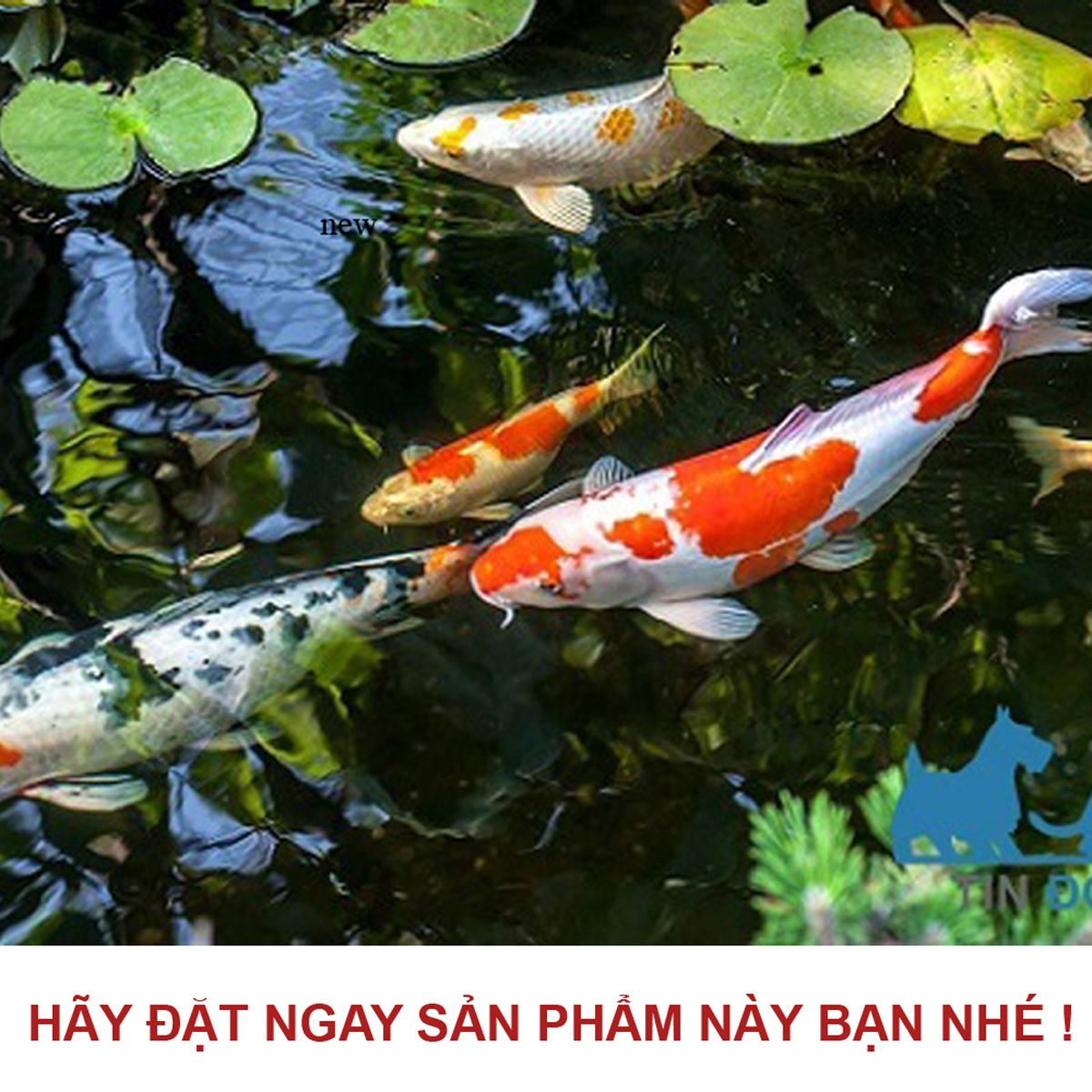 Máy bơm HA 8000 - HA10000 - HA12000 lõi trục gốm, 9 nấc chỉnh nước dùng cho bể cá, hồ cá, hòn non bộ - Máy bơm chìm cao cấp