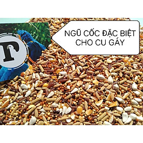 Hạt ngũ cốc cho cu gáy đầy đủ chất dinh dưỡng