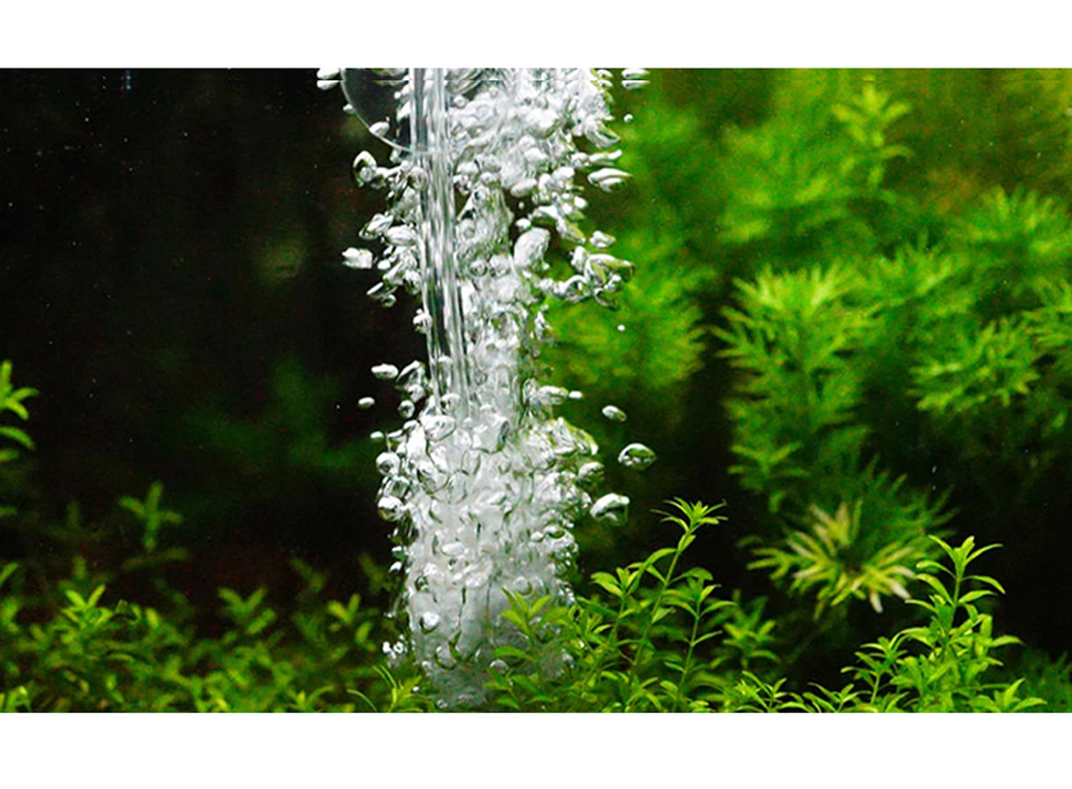 4M Dây Sủi Oxy | Dây Dẫn Khí CO2 Trong Suốt, Cho Hồ Cá Cảnh, Hồ Thủy Sinh Cao Cấp
