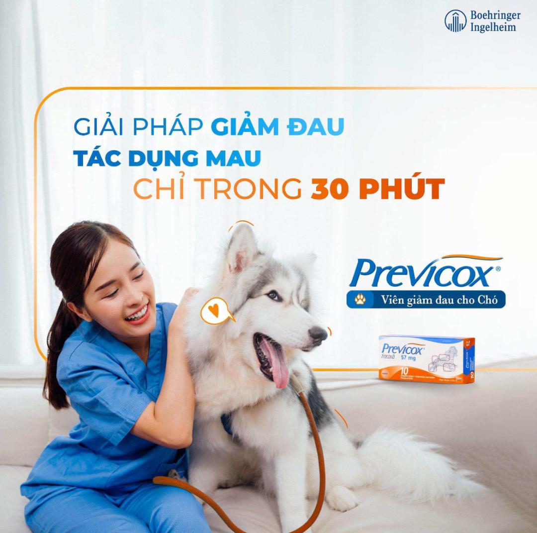 1 hộp Previcox giảm đau, kháng viêm trên chó (10 viên, 57mg/ viên)