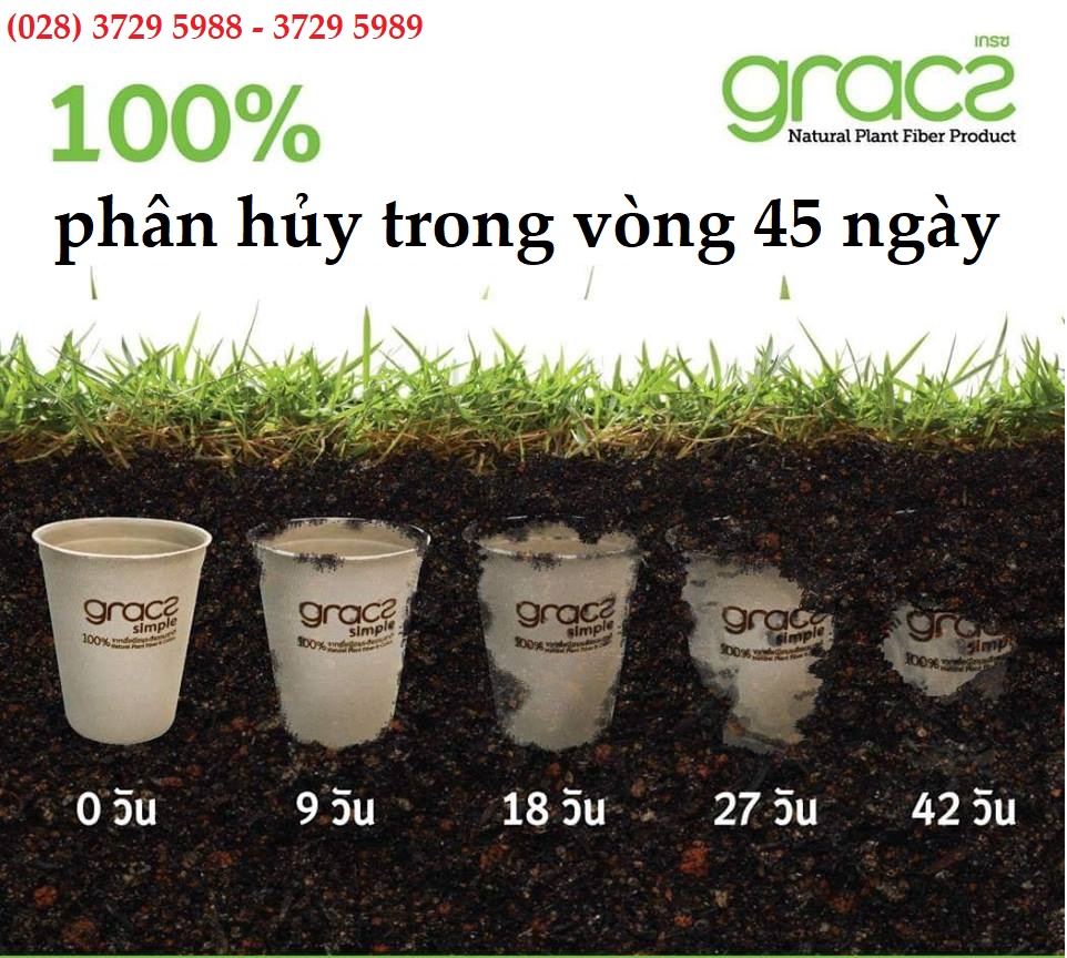 Combo 50 cái Đĩa giấy tròn 3 ngăn bã mía Thái Lan 25cm - thương hiệu Gracz