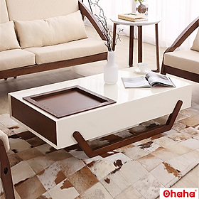 [ Miễn phí giao hàng và lắp đặt tại TP.HCM] Bàn trà sofa OHAHA kiểu dáng độc đáo - BT009