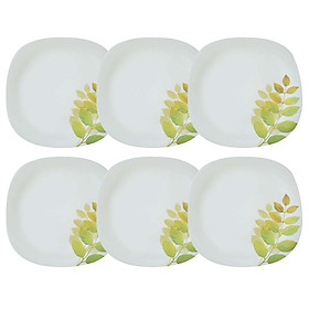 Bộ 6 Đĩa Thủy Tinh Vuông 205 La Opala Diva Ivory A.S  LAPQ205QAS