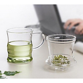 Mẫu ly thủy tinh uống trà có lõi lọc và không lõi lọc