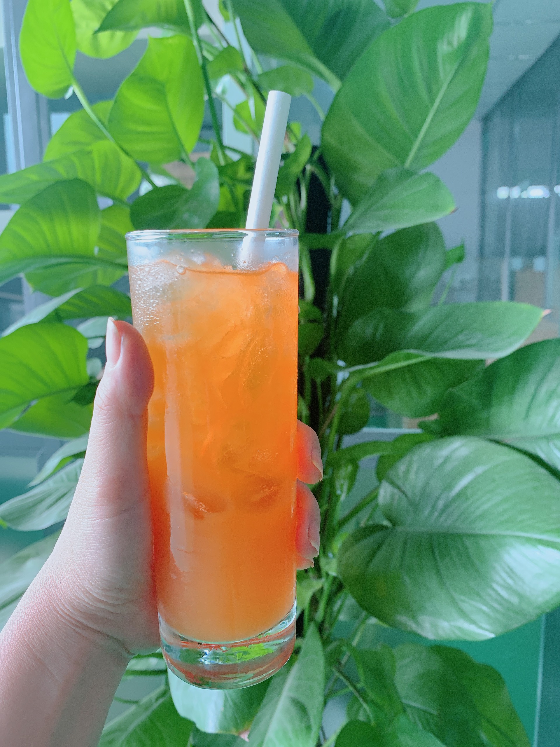 Ống hút giấy cao cấp 8mm x 197mm Clean Paper Straw màu trắng kích thước hộp 100 ống