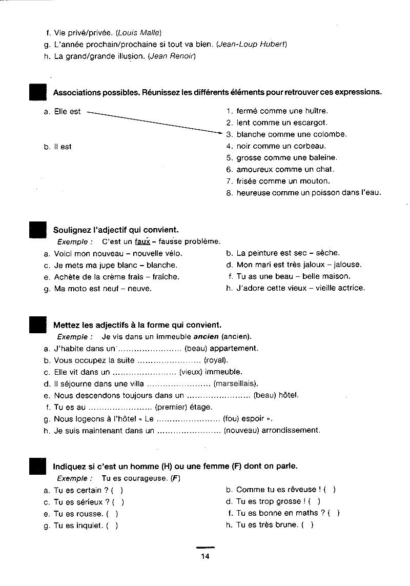 450 Nouveaux Exercices - Grammaire (Niveau Débutant)