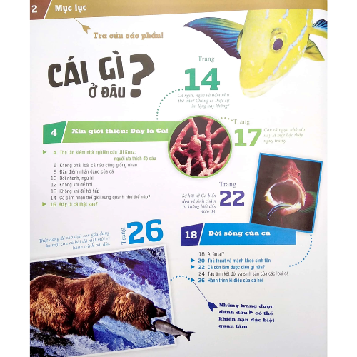 Thế Nào Và Tại Sao - Các Loài Cá- Thế Giới Diệu Kì Dưới Nước
