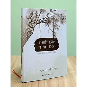 Thiết lập tịnh độ - Nghệ Thuật Thiết Lập Cuộc Sống Hạnh Phúc Trong Hiện Tại - Thiền sư Thích Nhất Hạnh