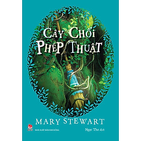 Kim Đồng - Cây chổi phép thuật
