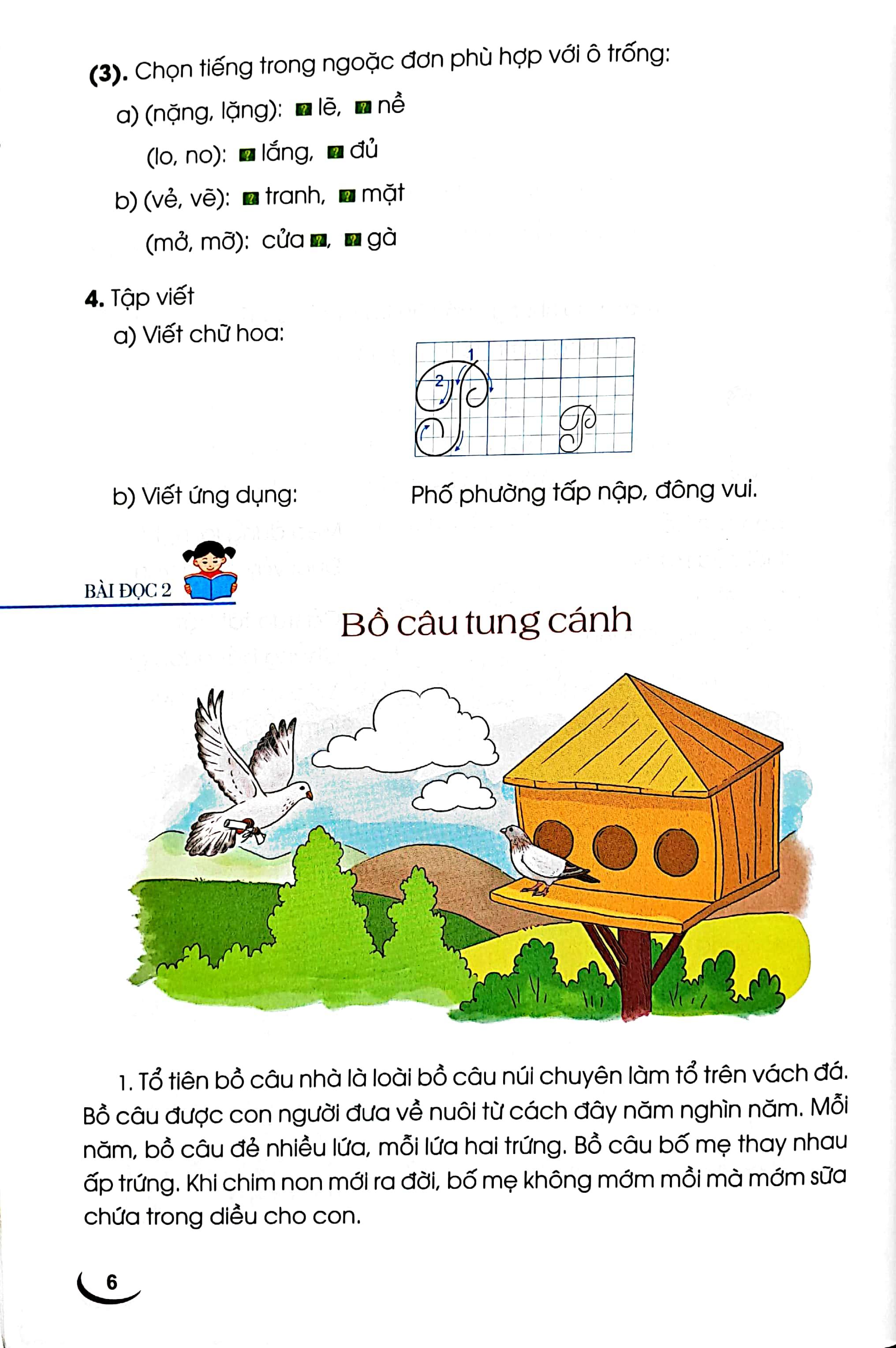 Tiếng Việt 2 - Tập 2 (Cánh Diều) (Chuẩn)