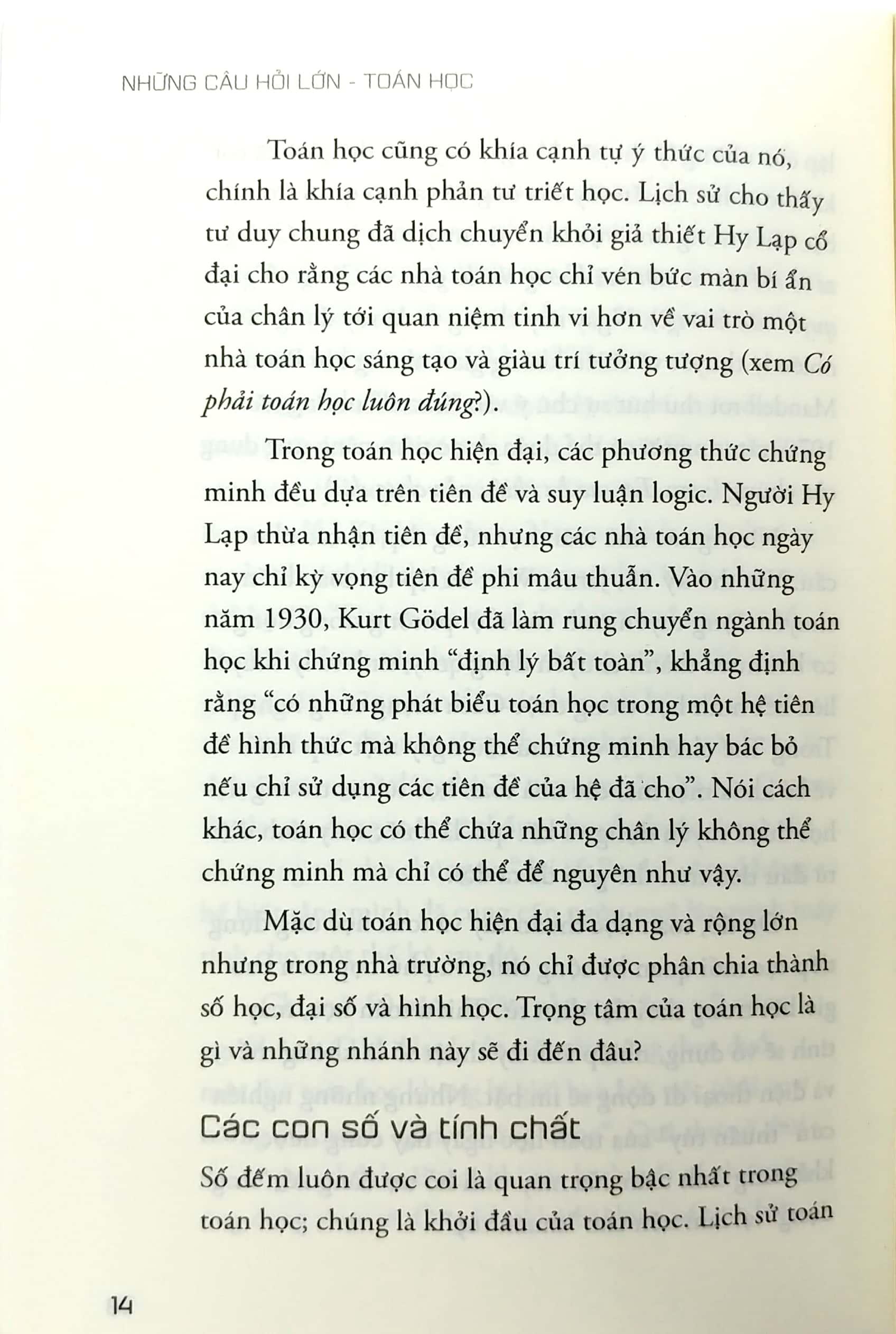 Những Câu Hỏi Lớn Toán Học (Tái Bản)