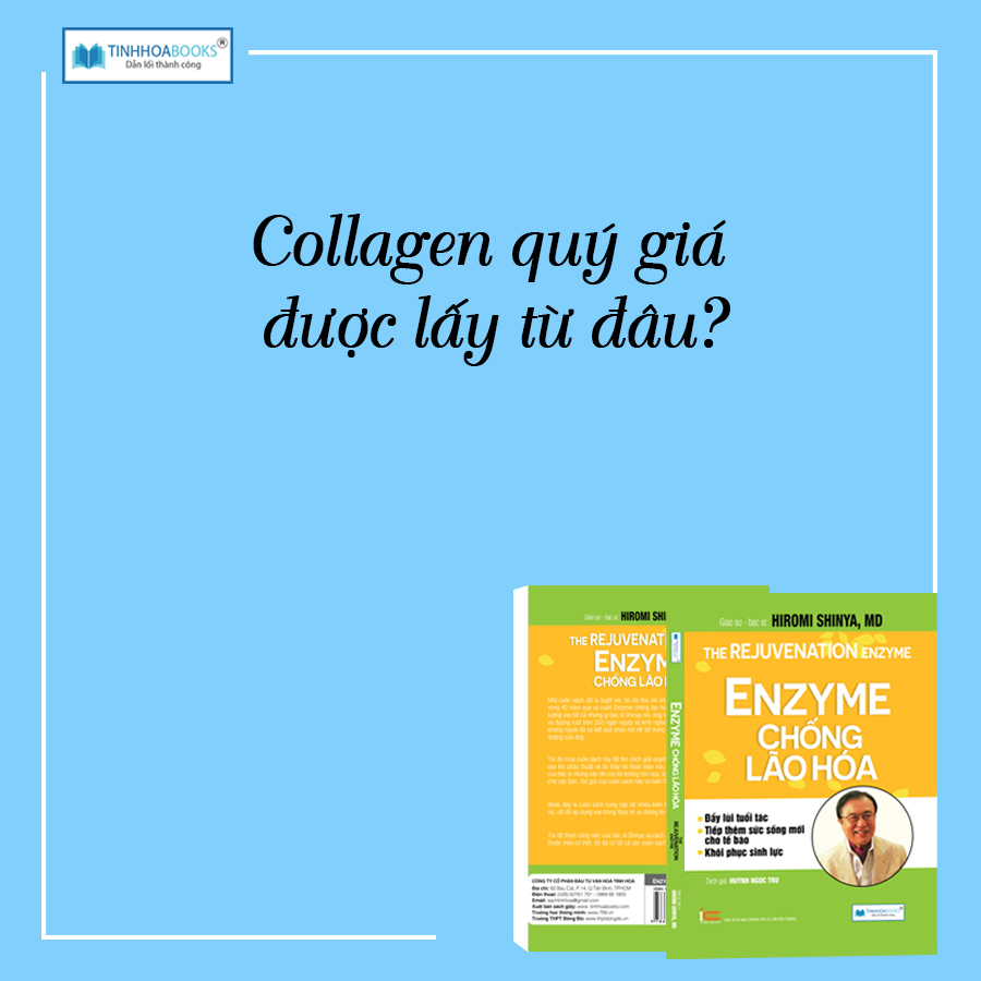 Combo 4 cuốn Bí mật dinh dưỡng (TB) + Toàn cảnh dinh dưỡng (TB) + Nhân tố vi sinh (TB) + Enzyme chống lão hoá (TB)