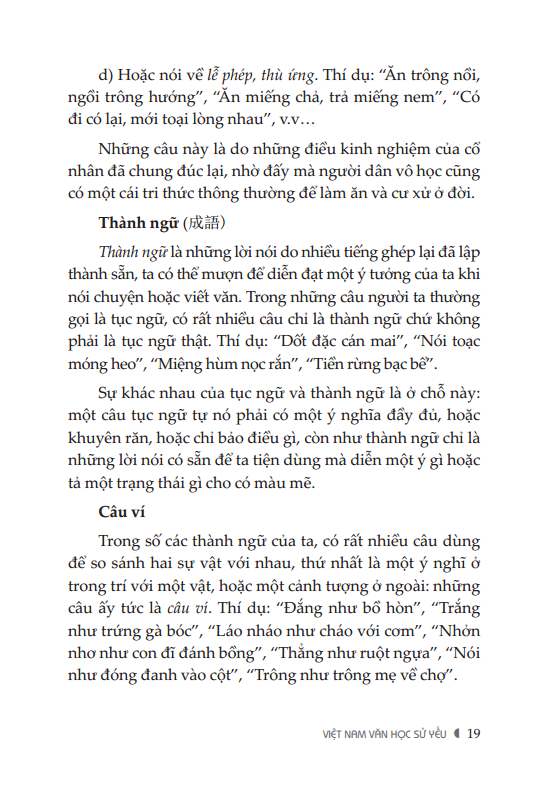 Việt Nam Văn Học Sử Yếu (Bìa Mềm)