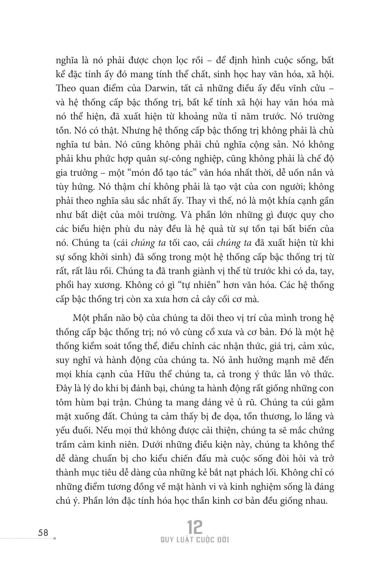 12 Quy Luật Cuộc Đời: Thần Dược Cho Cuộc Sống Hiện Đại