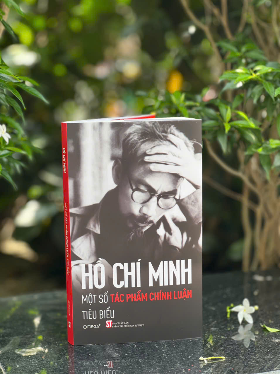 Combo Bông Sen Vàng - Thời Niên Thiếu Của Chủ Tịch Hồ Chí Minh Dưới Ngòi Bút Nhà Văn Sơn Tùng + Hồ Chí Minh - Những Tác Phẩm Chính Luận Tiêu Biểu