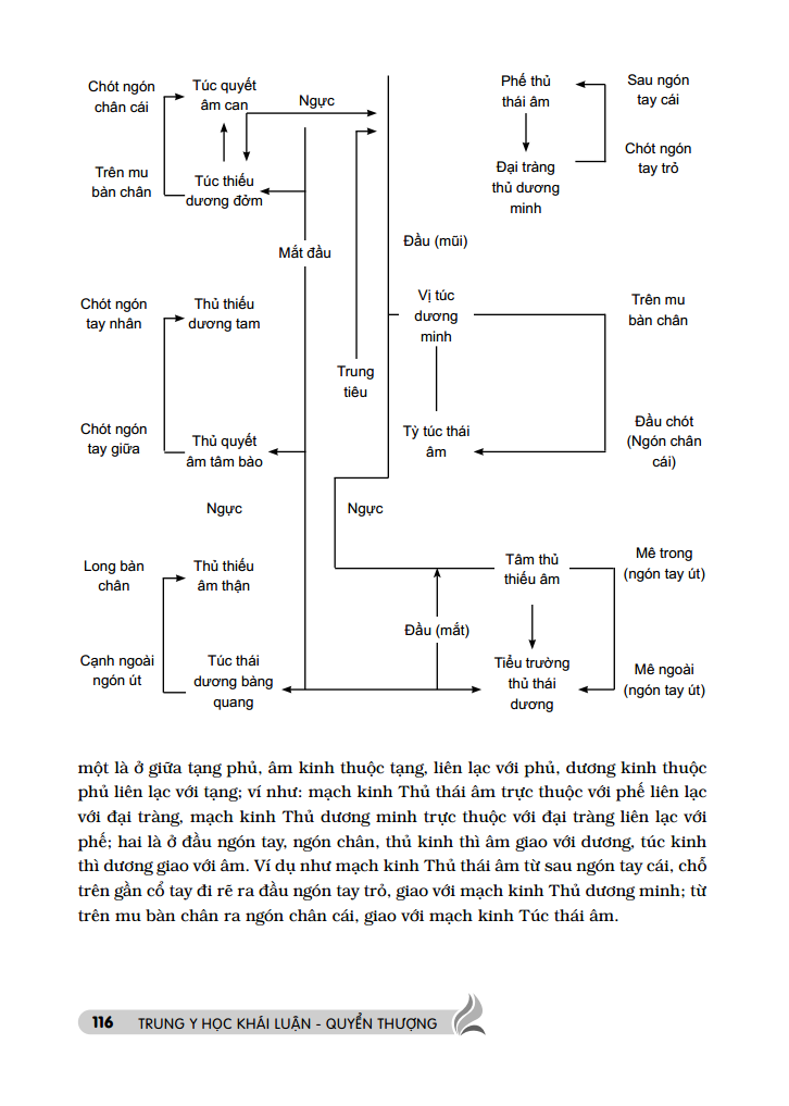 Trung Y Học Khái Luận (Quyển Thượng)