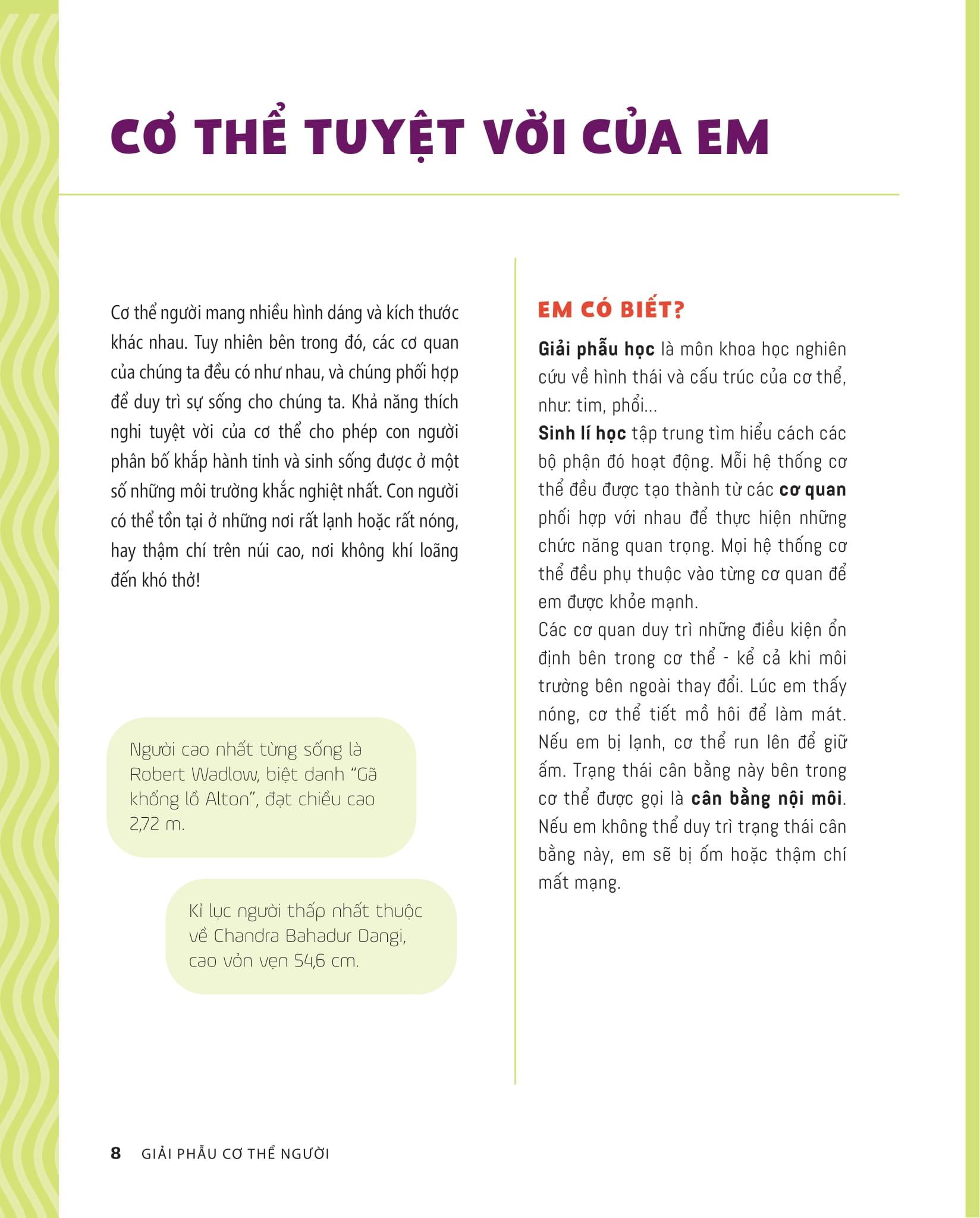 Tớ Muốn Biết Tuốt - Giải Phẫu Cơ Thể Người