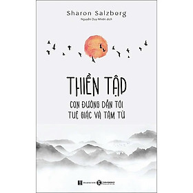 Sách - Thiền Tập - Con Đường Dẫn Đến Tuệ Giác Và Tâm Từ - Sharon Salzberg - Thái Hà Books
