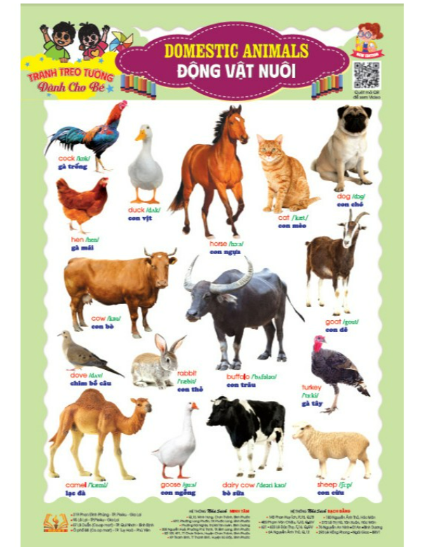 Sách - Bộ tranh treo tường song ngữ 10 chủ đề rõ nét cho bé học thế giới xung quanh - HA