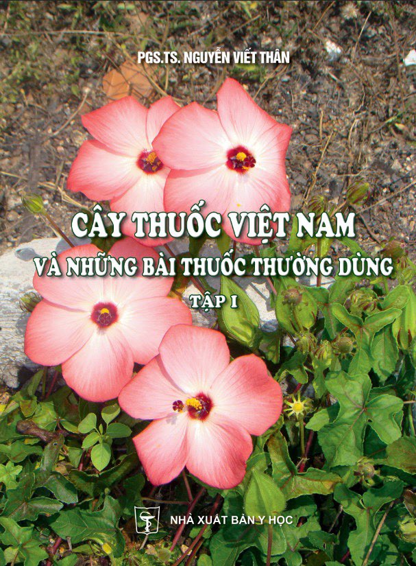 Sách - Combo trọn bộ Cây thuốc Việt Nam và Những bài thuốc thường dùng (Trọn bộ 4 cuốn)