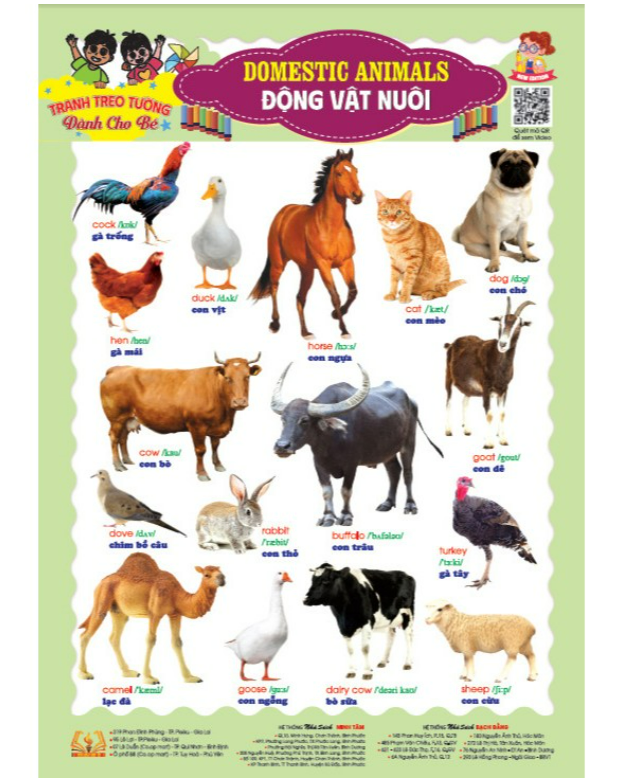 Sách - Bộ tranh treo tường song ngữ 10 chủ đề rõ nét cho bé học thế giới xung quanh - HA