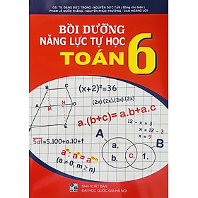 Bồi Dưỡng Năng Lực Tự Học Toán