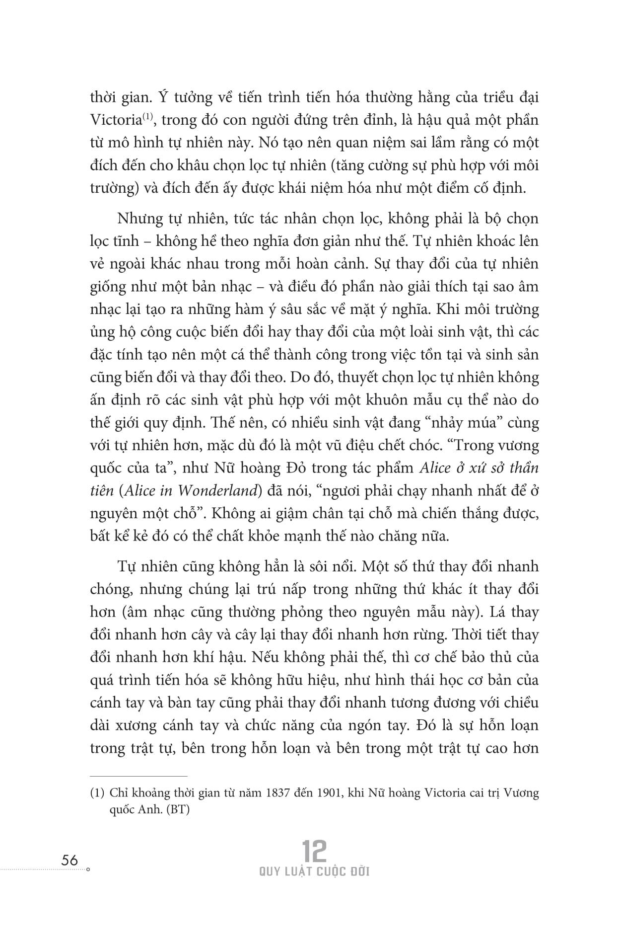 12 Quy Luật Cuộc Đời: Thần Dược Cho Cuộc Sống Hiện Đại