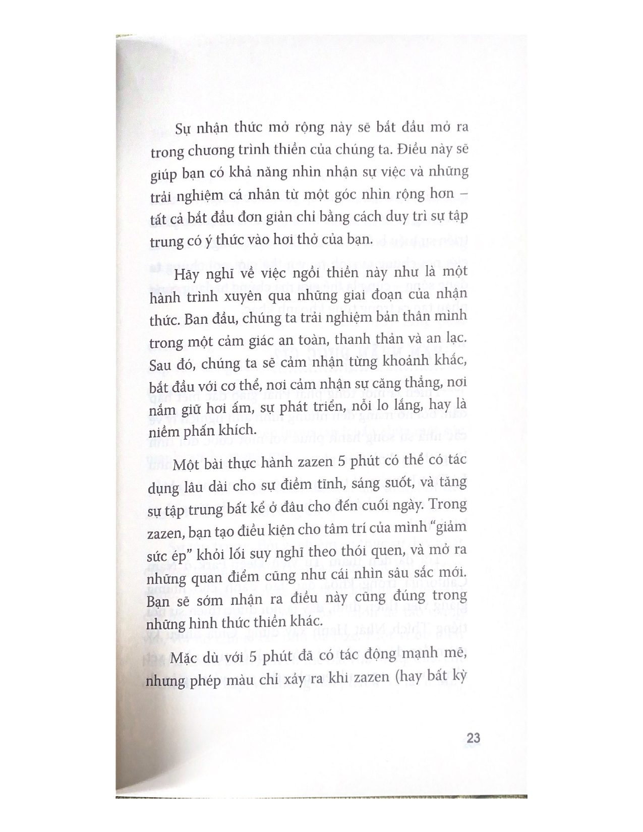 10 Ngày Hành Thiền