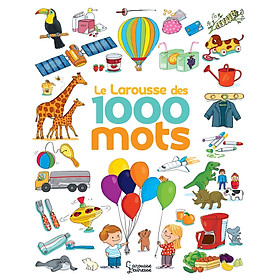 Sách học tiếng Pháp LE LAROUSSE DES 1 000 MOTS NE