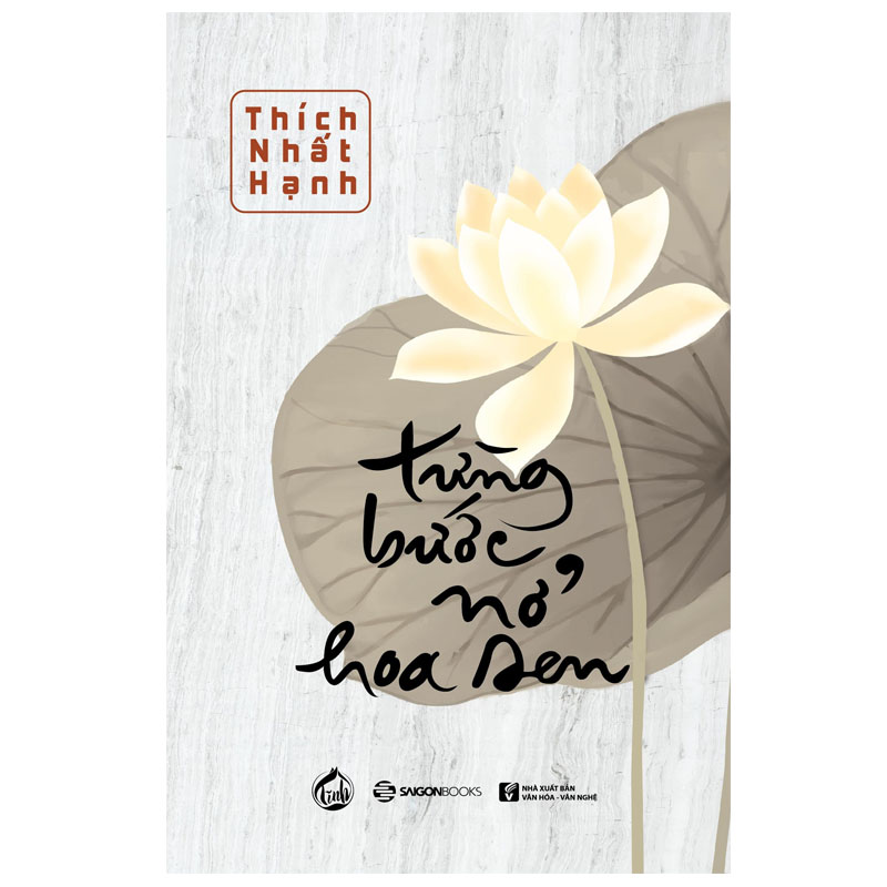 Từng Bước Nở Hoa Sen - Trí tuệ Ba La Mật