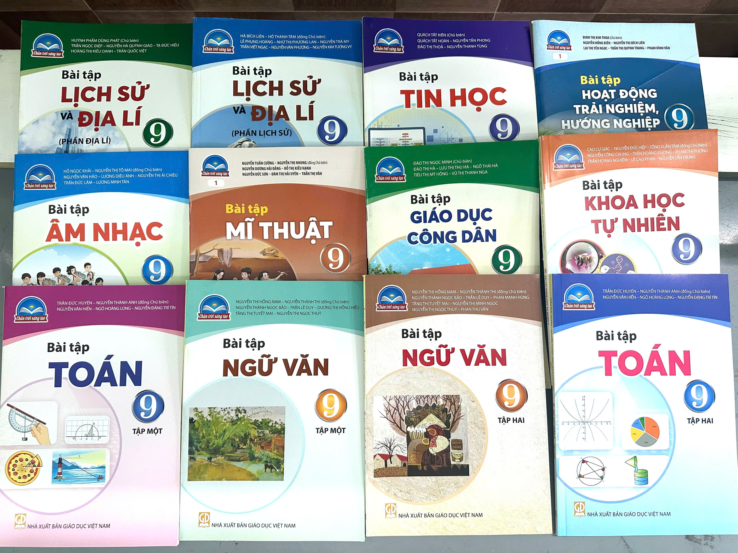 Bộ Sách bài tập Lớp 9- Chân Trời Sáng Tạo (12 quyển- Kèm bìa nilong bao sách)